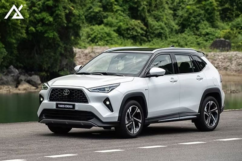 cuv cỡ b